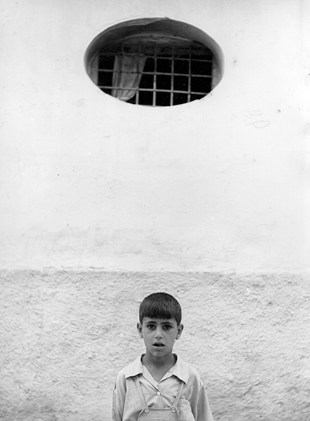 Boy of Ischia, 1953