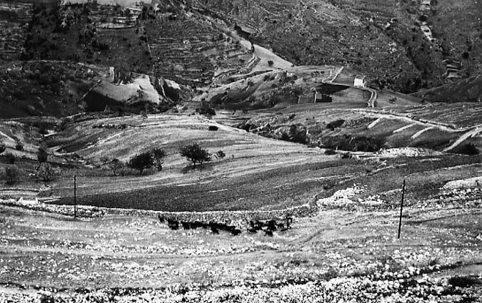 Gargano, 1958