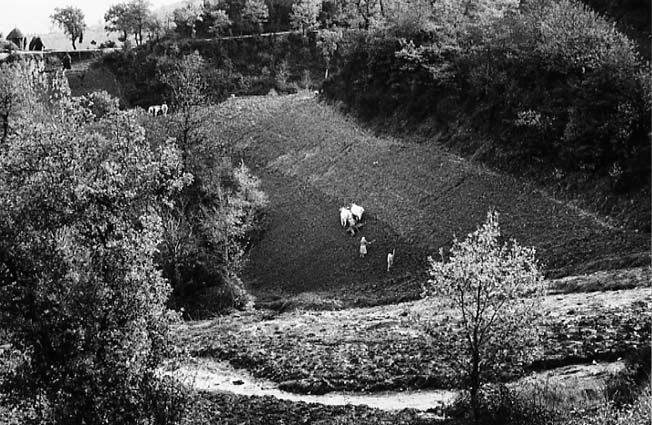 Gargano, 1958