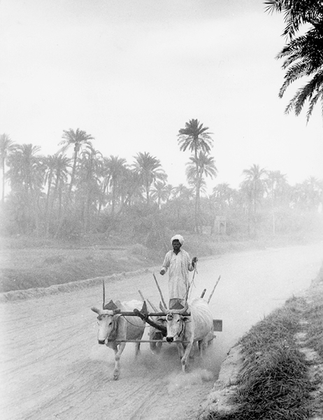 Iran, 1959